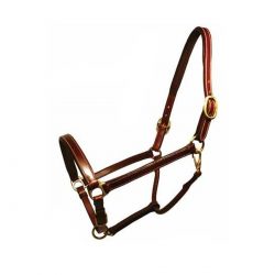 "Champion" Leather Halter