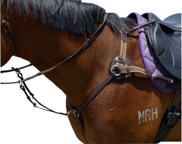 Finalist 5 Point Breastplate