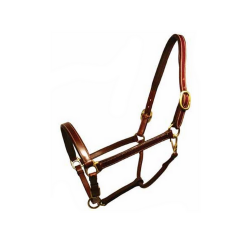 Leather Halters
