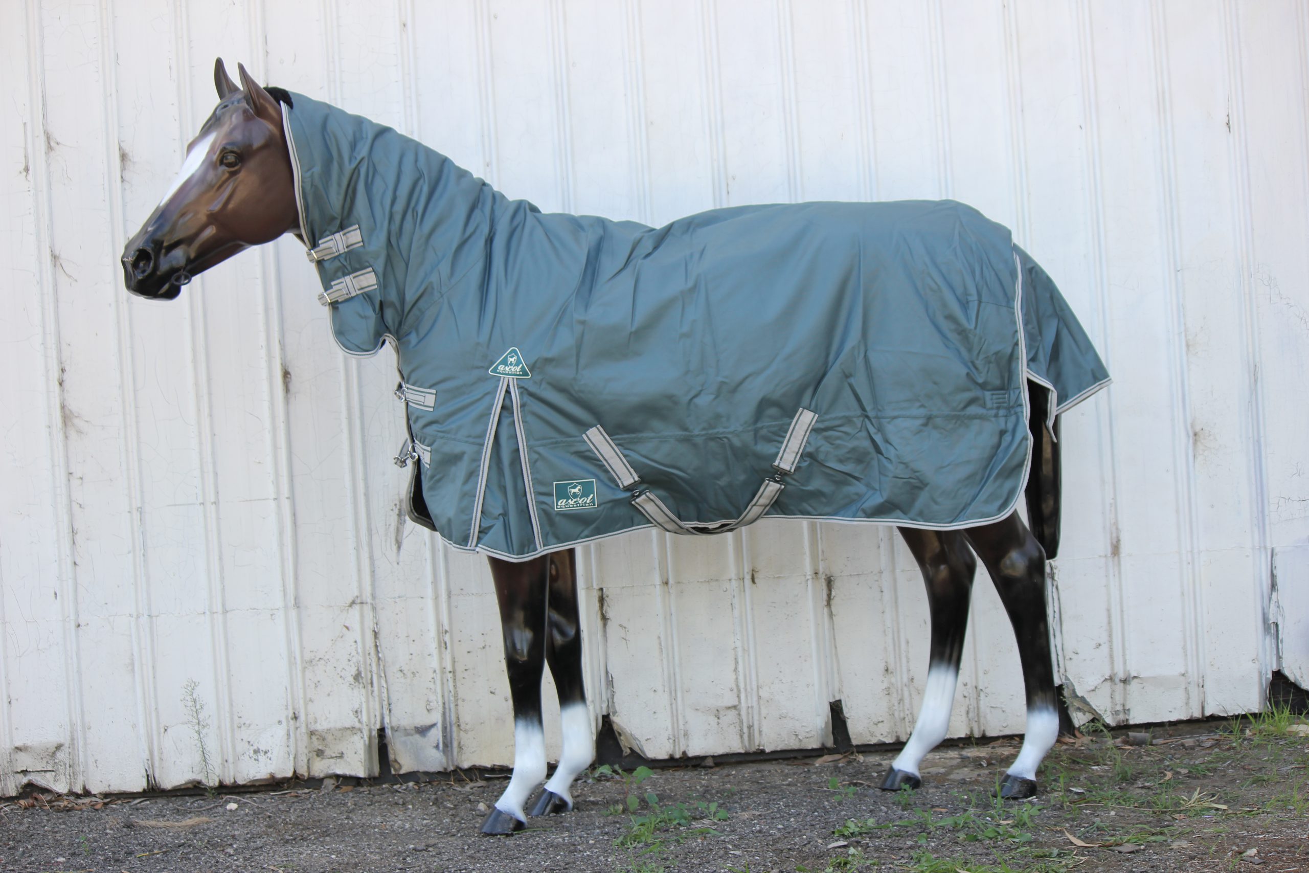 Ascot Paddock Combo 1680D Europa Saddlery